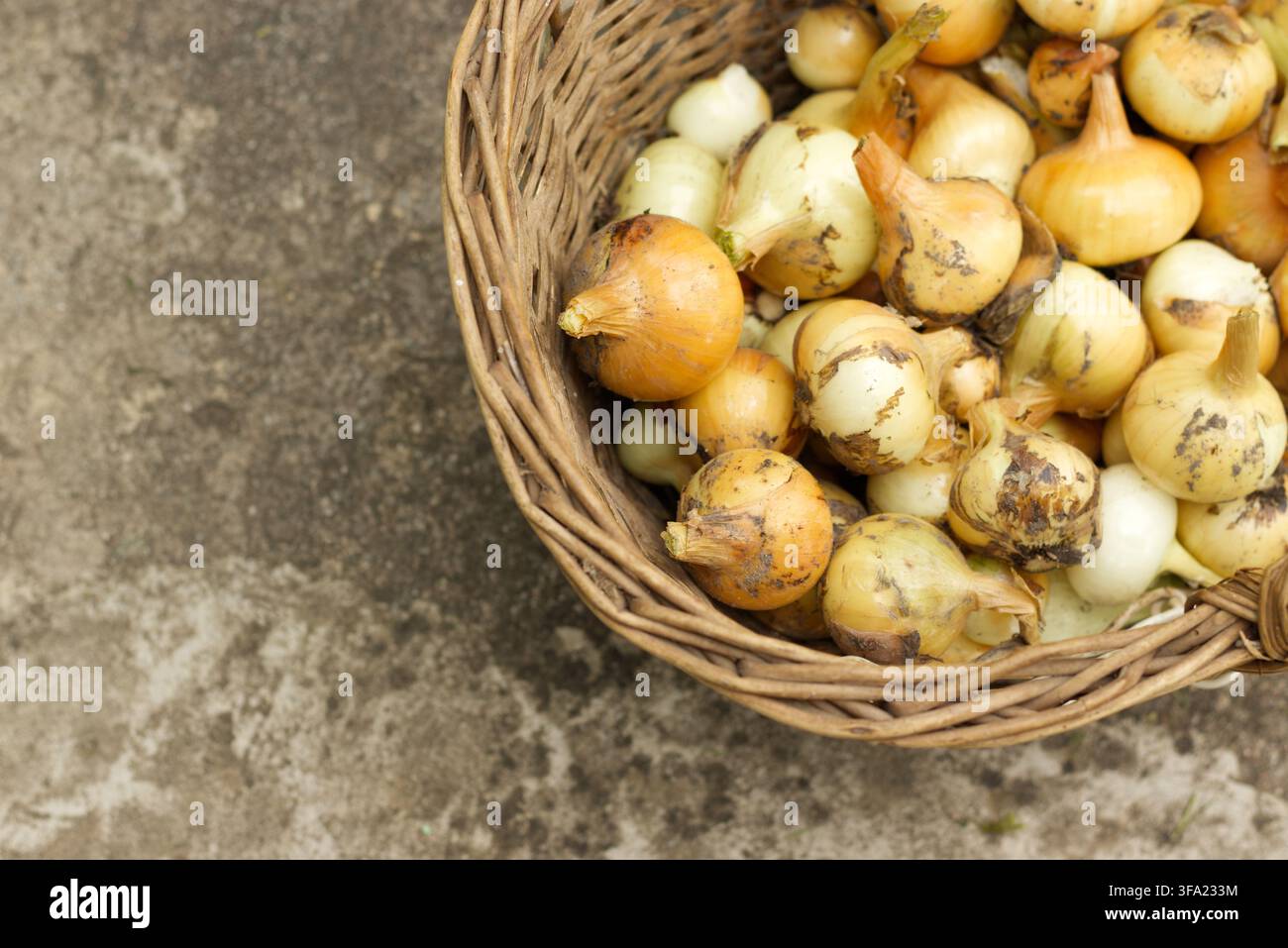 Onions in wicker basket from above Stock Photo