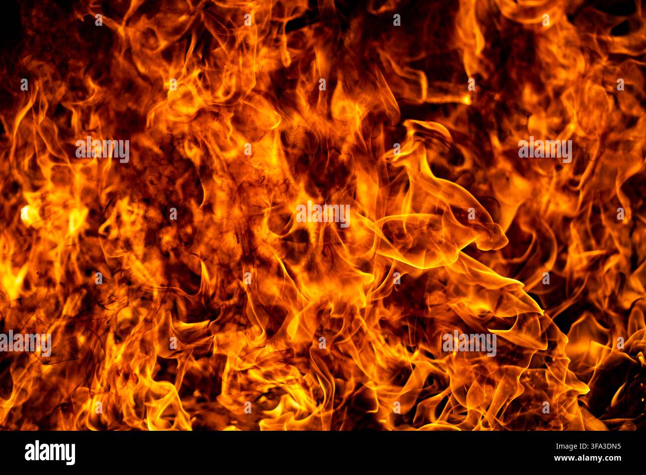 Fire lights orange flame. Fire frames rising flame. Realistic fire for ...