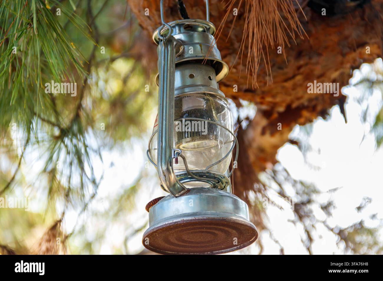 Old gas lamp hanging on a tree branch Stock Photo