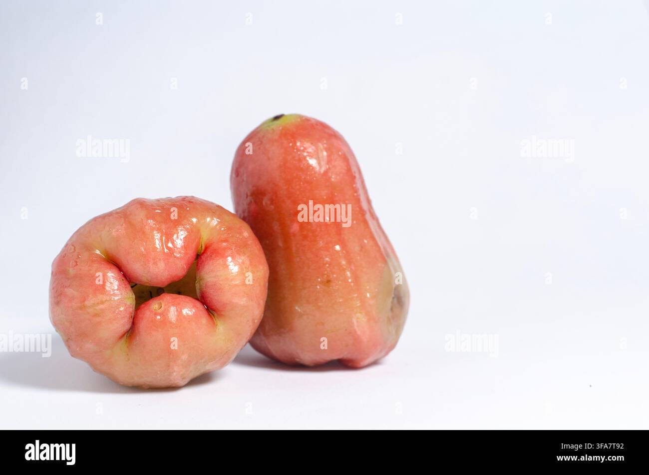 Two Wet Rose Apples on a White Background Stock Photo