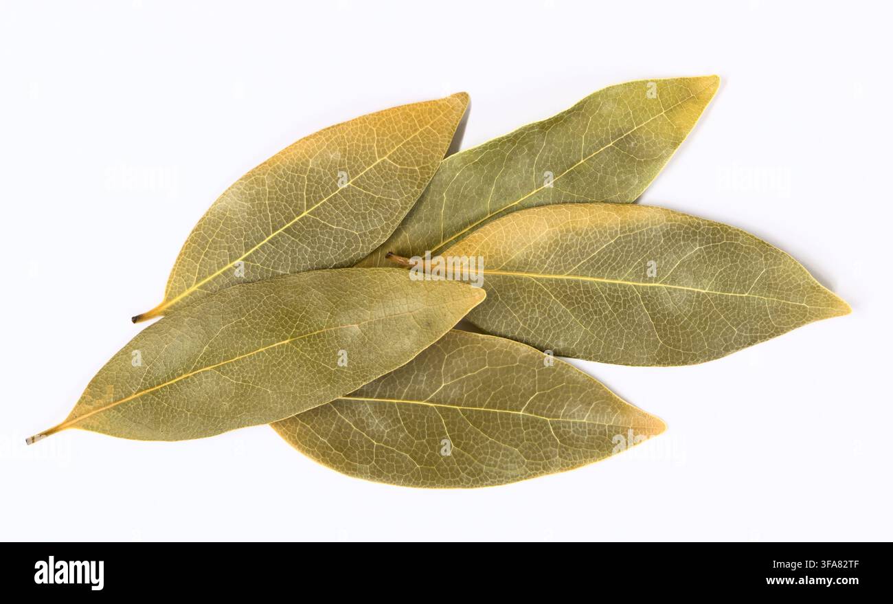 Dried Bay leaves scattered on white background herbs and spices cooking ingredient. Stock Photo