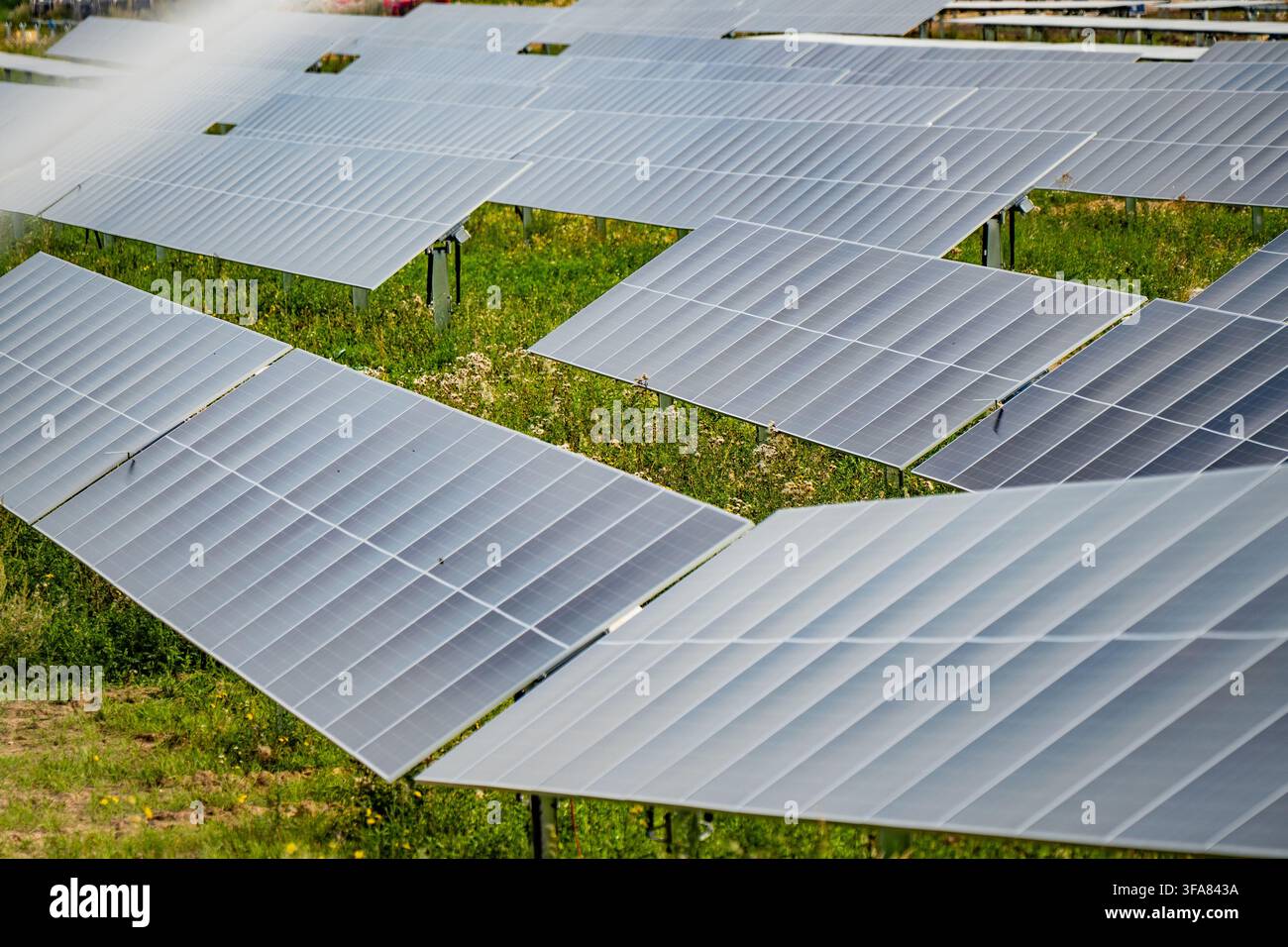 Large scale ground-mounted solar panel array generating clean electricity representing renewable energy transition and green grid Stock Photo