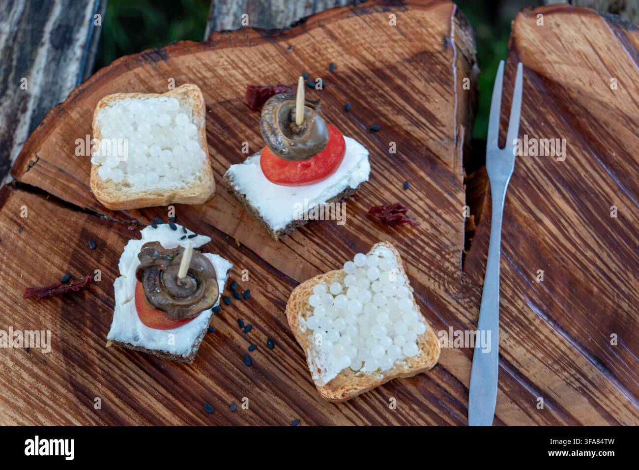 Exquisite restaurant catering snacks feature cooked mollusk flesh on bread slices with white round eggs topping served outdoors near metal fork during Stock Photo
