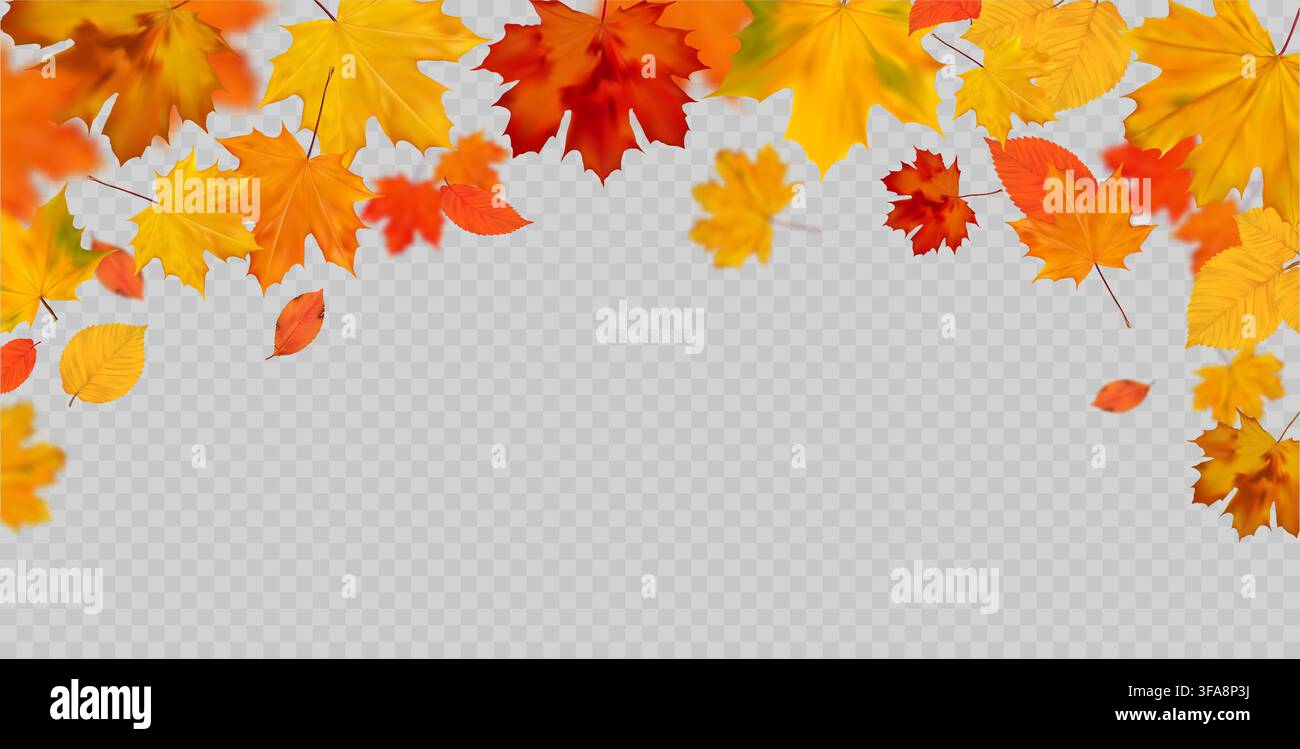 Autumn Leaves Border With Copy Space Stock Vector