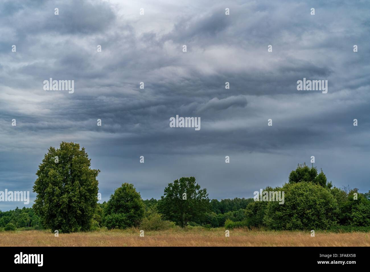 Dramatic storm clouds over a green countryside meadow and trees Stock Photo