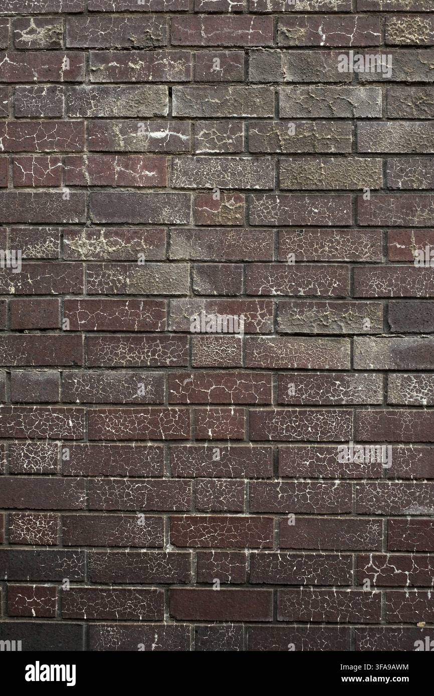 August 2021 - Blue engineering brick wall as a background and texture Stock Photo