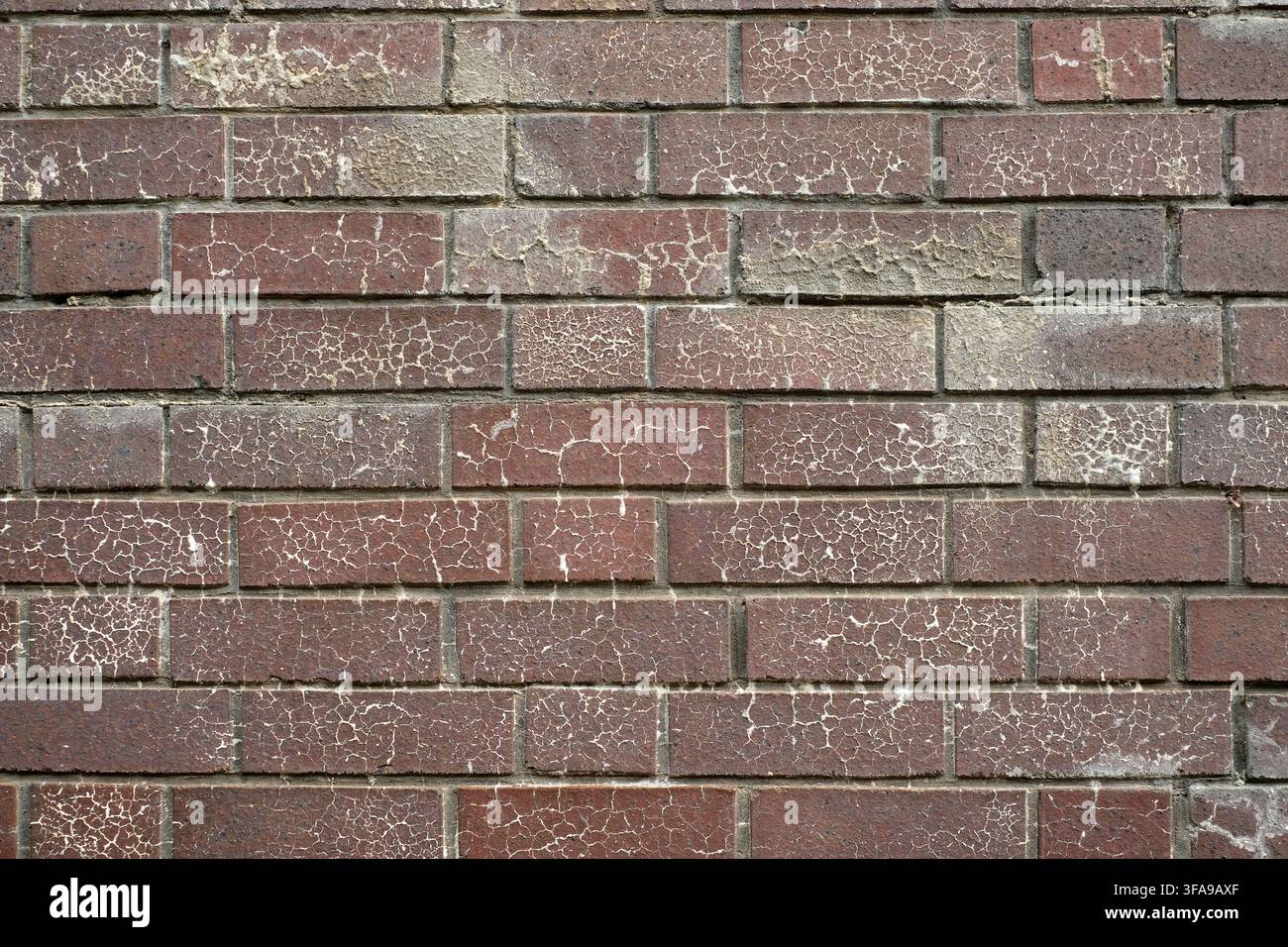 August 2021 - Blue engineering brick wall as a background and texture Stock Photo