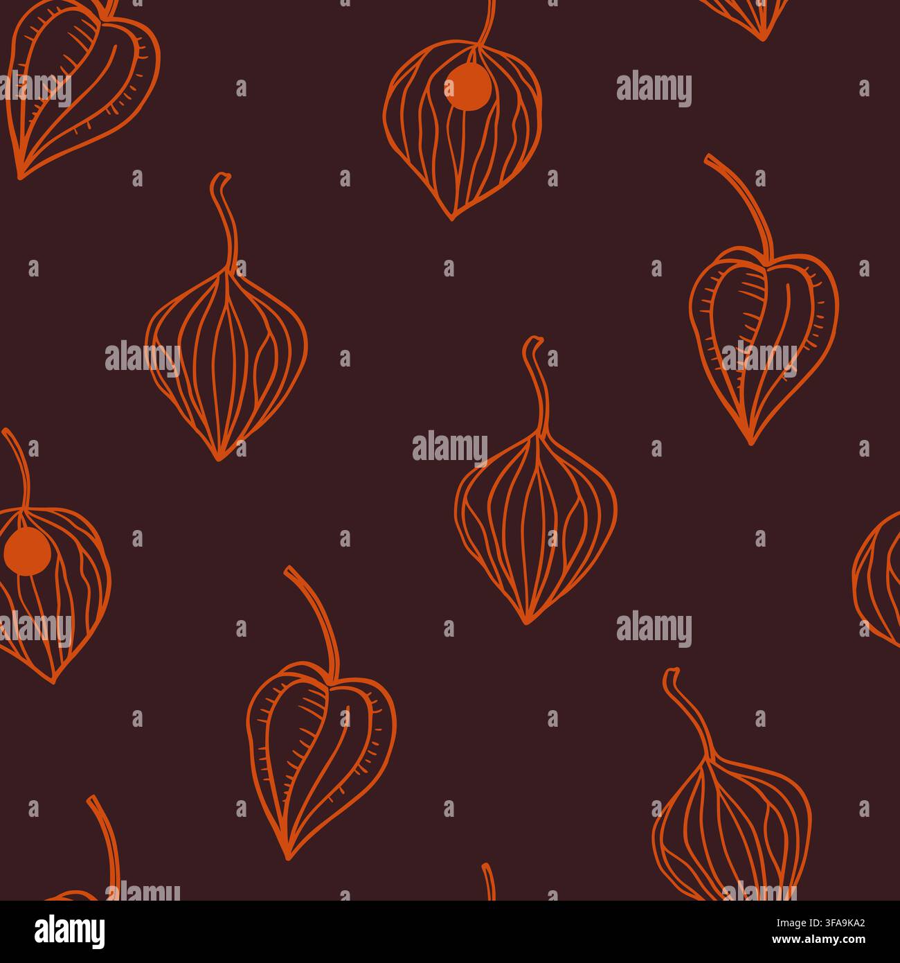 Seamless pattern with physalis lanterns, gold winter cherry. Hand-drawn vector line illustration Stock Vector