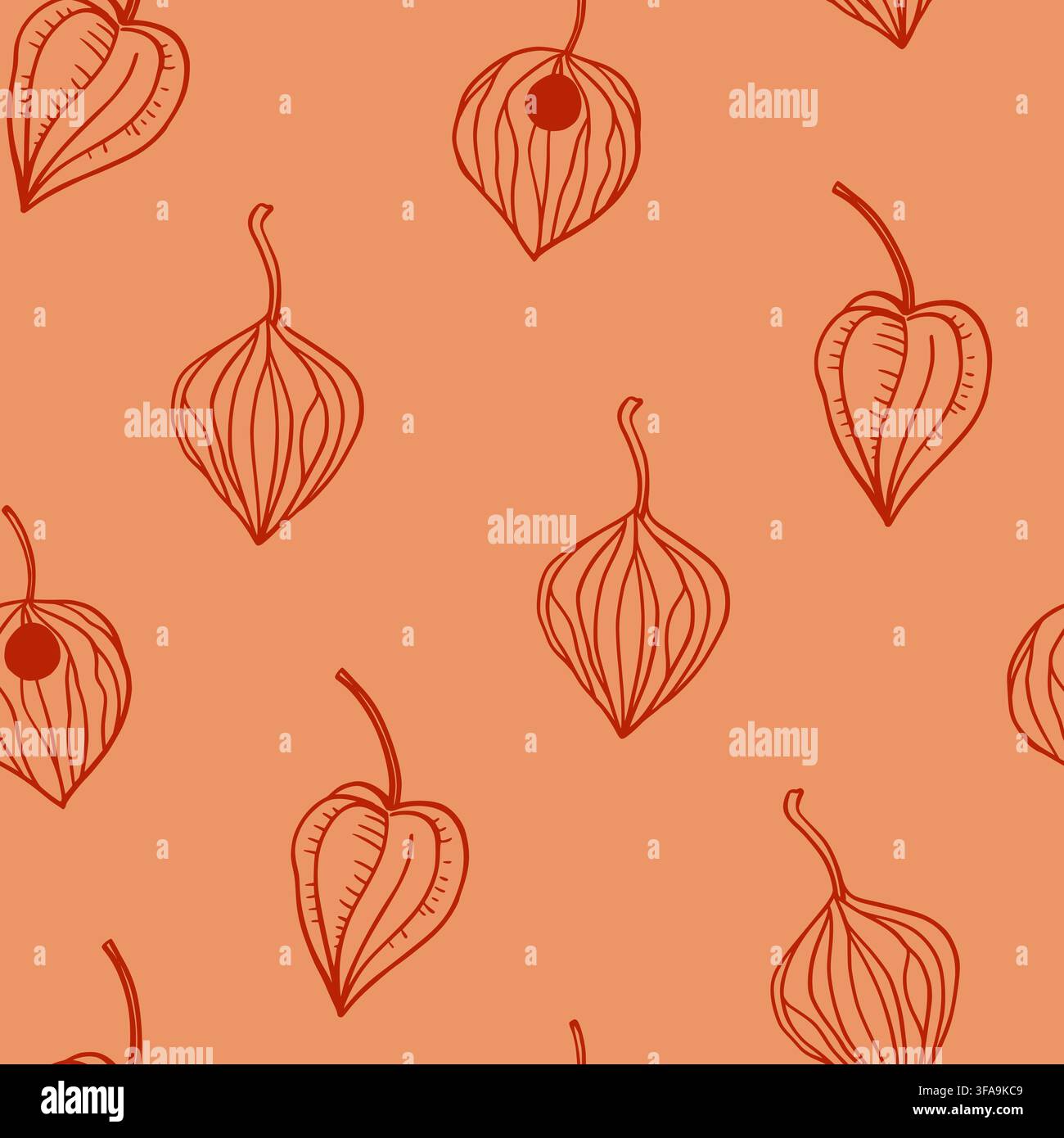 Seamless pattern with physalis lanterns, gold winter cherry. Hand-drawn vector line illustration Stock Vector