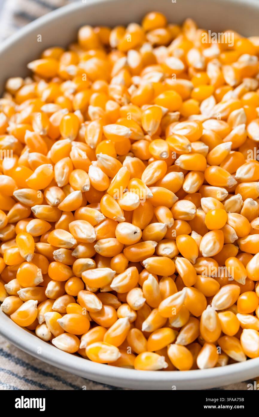 Dry Organic Raw Pop Corn Kernels in a Bowl Stock Photo