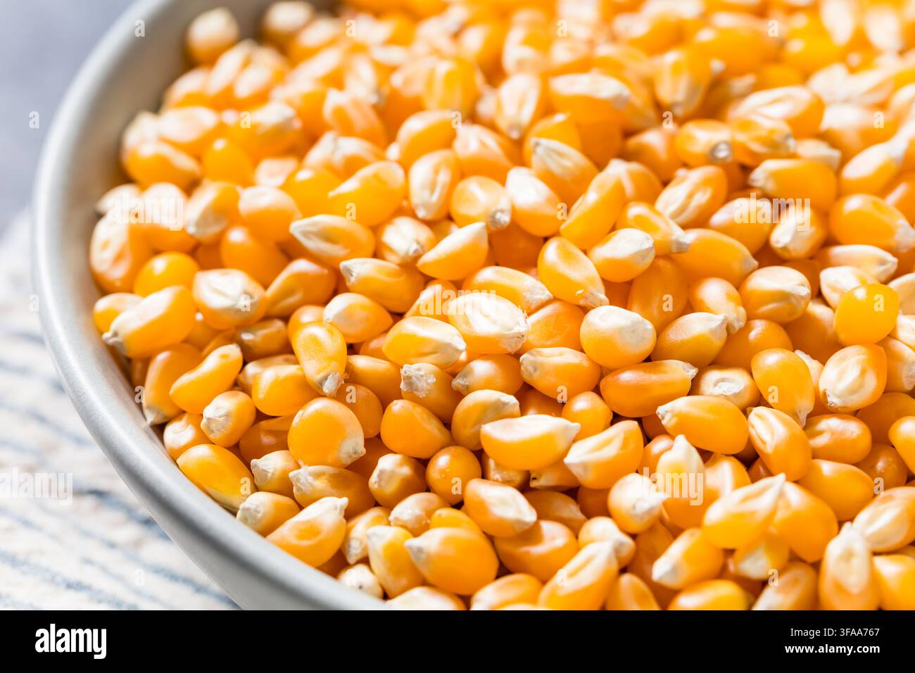 Dry Organic Raw Pop Corn Kernels in a Bowl Stock Photo