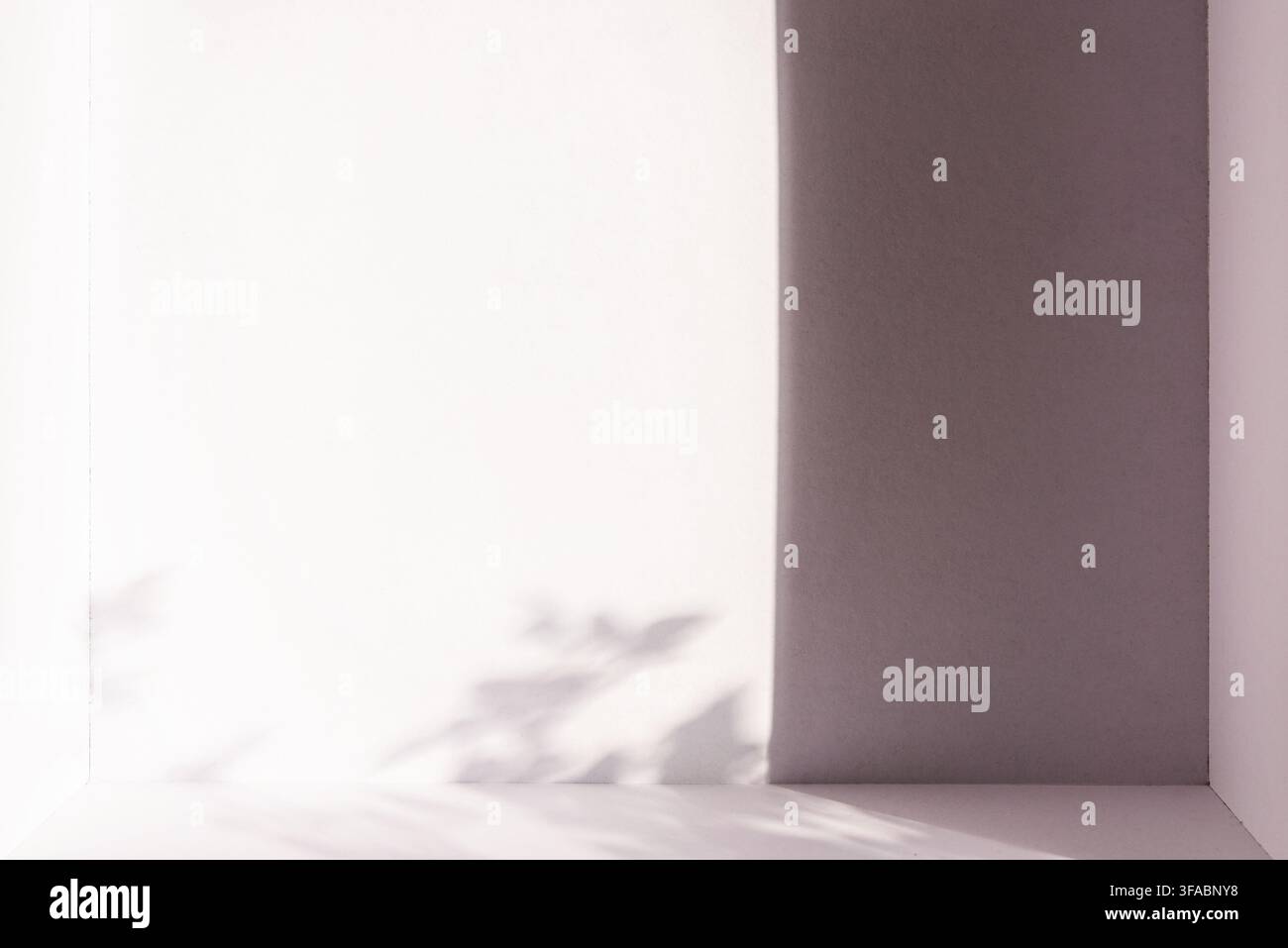 A clean, minimalist corner box structure featuring soft leaf shadow patterns and dramatic side lighting, elegant abstract background with ample copy s Stock Photo