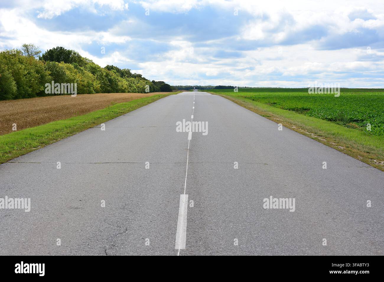 Long Straight Road Through Green Fields Under Cloudy Sky copy space Stock Photo