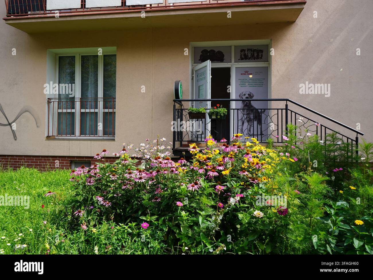 Entrance to a local veterinary clinic featuring colorful blooming coneflowers and garden plants in the foreground garden bed. Stock Photo