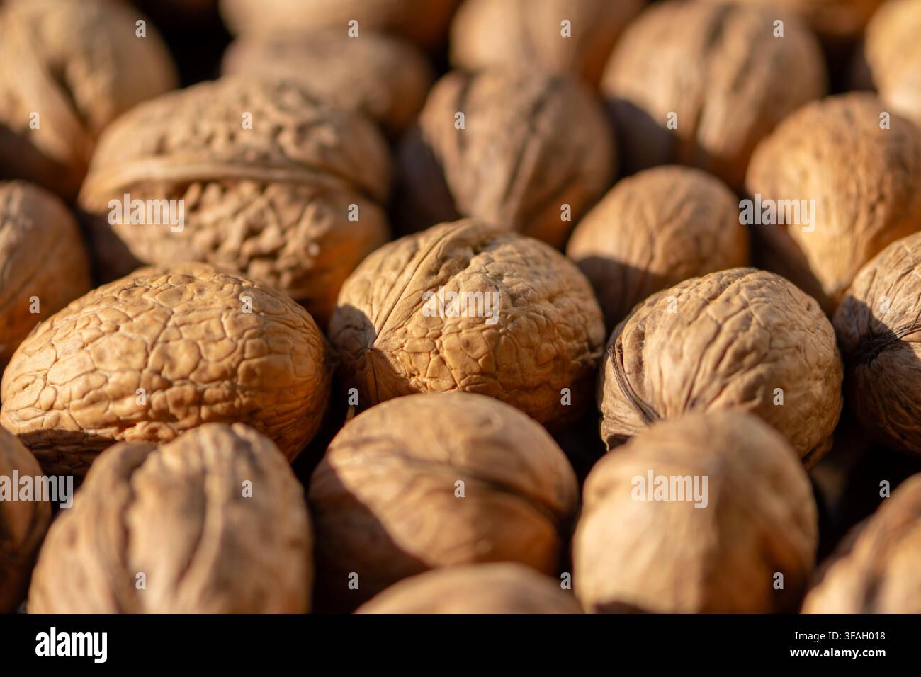 A closeup shows whole walnuts with textured shells lying together in warm light. Stock Photo