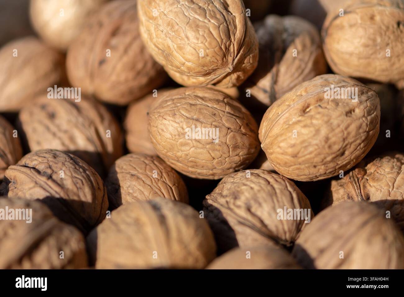 A closeup shows a pile of whole walnuts in textured brown shells. Stock Photo