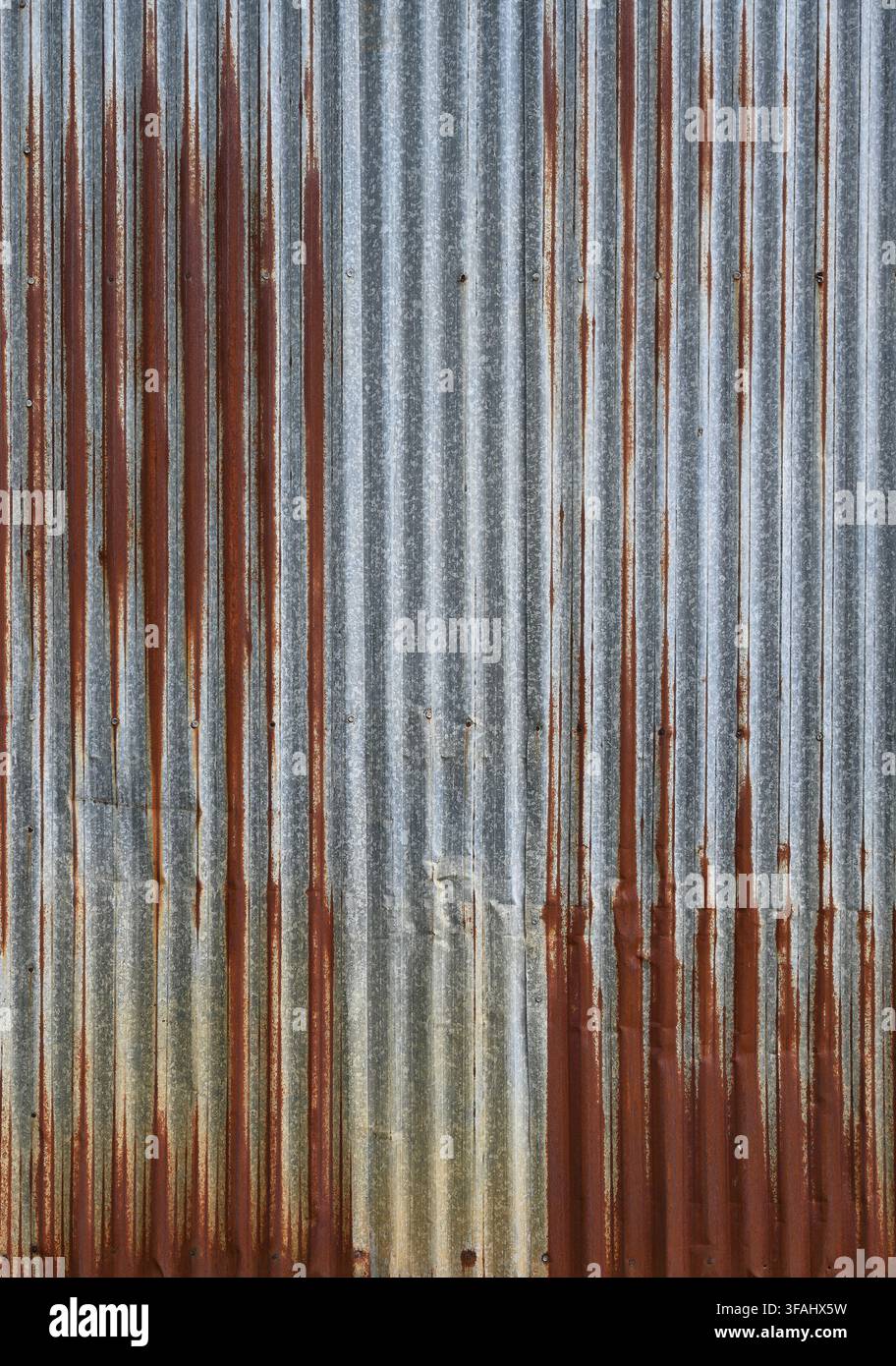 Vertical view of corrugated galvanized tin metal siding with heavy rust, vertical ridges and white mineral deposits Stock Photo