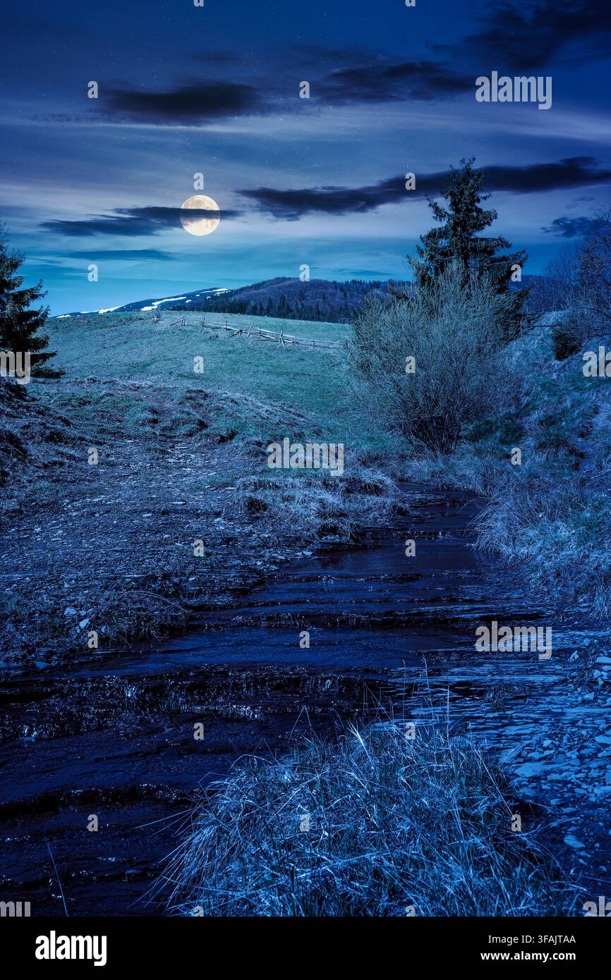 rural scenery in carpathian mountains at night. simple view of a countryside mountain landscape during springtime. full moon over brook near the grass Stock Photo