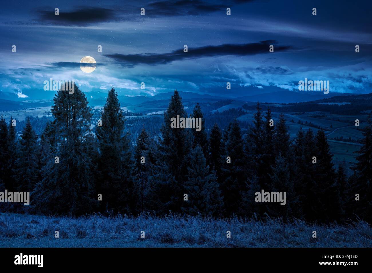 hillside of mountain range with coniferous forest and meadow at night. full moon over spruce trees on the green grassy hill. Carpathian countryside in Stock Photo