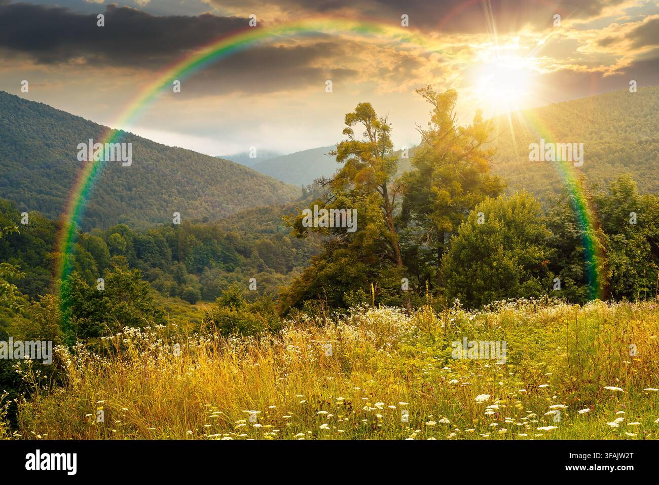 sunset over rural mountain landscape of ukraine. countryside scenery of transcarpathia in summer. forested hills and grassy meadows under cloudy sky Stock Photo