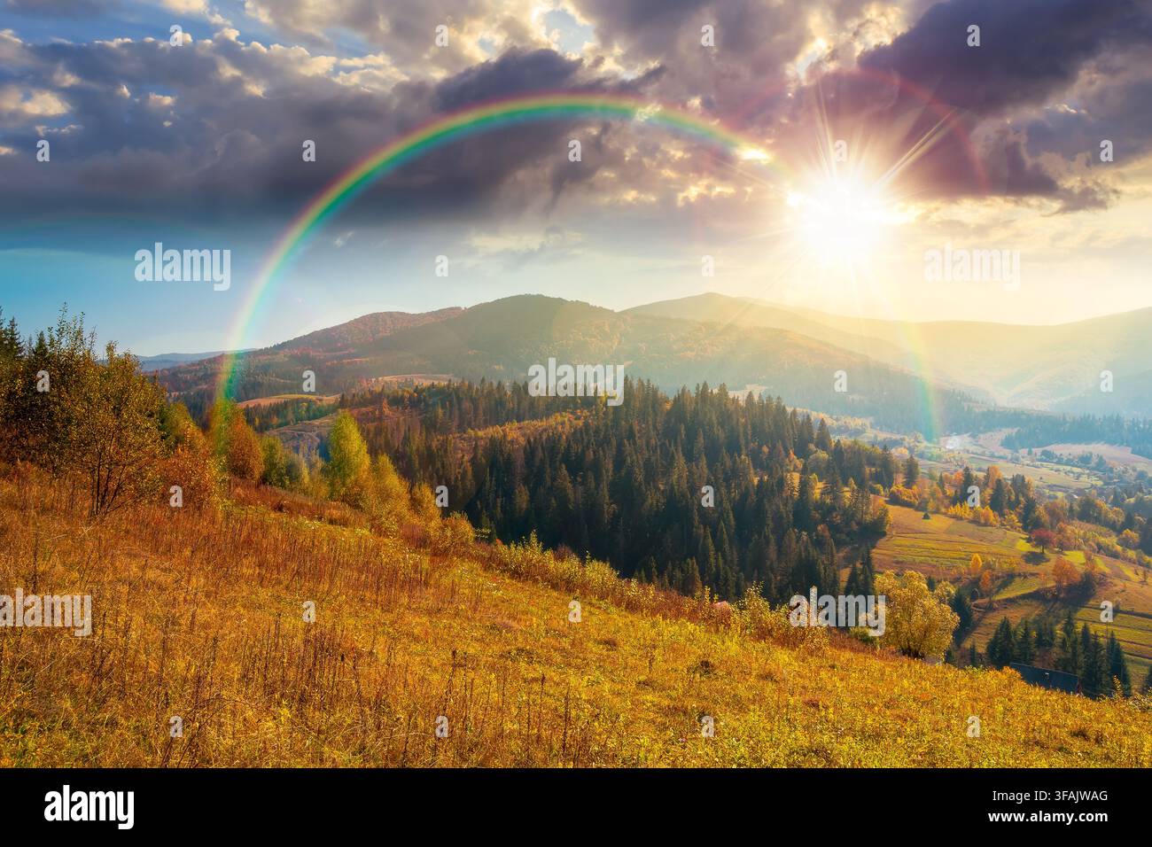 countryside mountain landscape in autumn. weathered grassy field on a hill near forest. rural sunset background. alpine highland of ukraine in evening Stock Photo