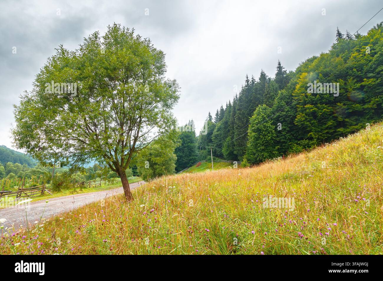 rural landscape. fence near road through field and forest to the high mountains. countryside scenery of ukraine in summer with overcast sky Stock Photo