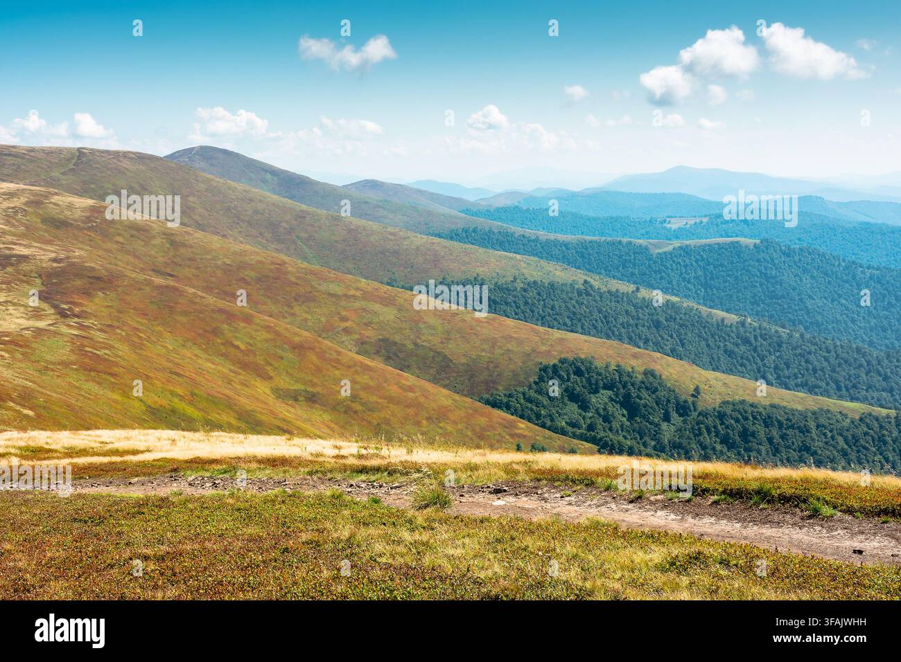 carpathian mountain landscape in late summer. scenic alps of ukraine in the afternoon. background image for hiking through borzhava ridge Stock Photo