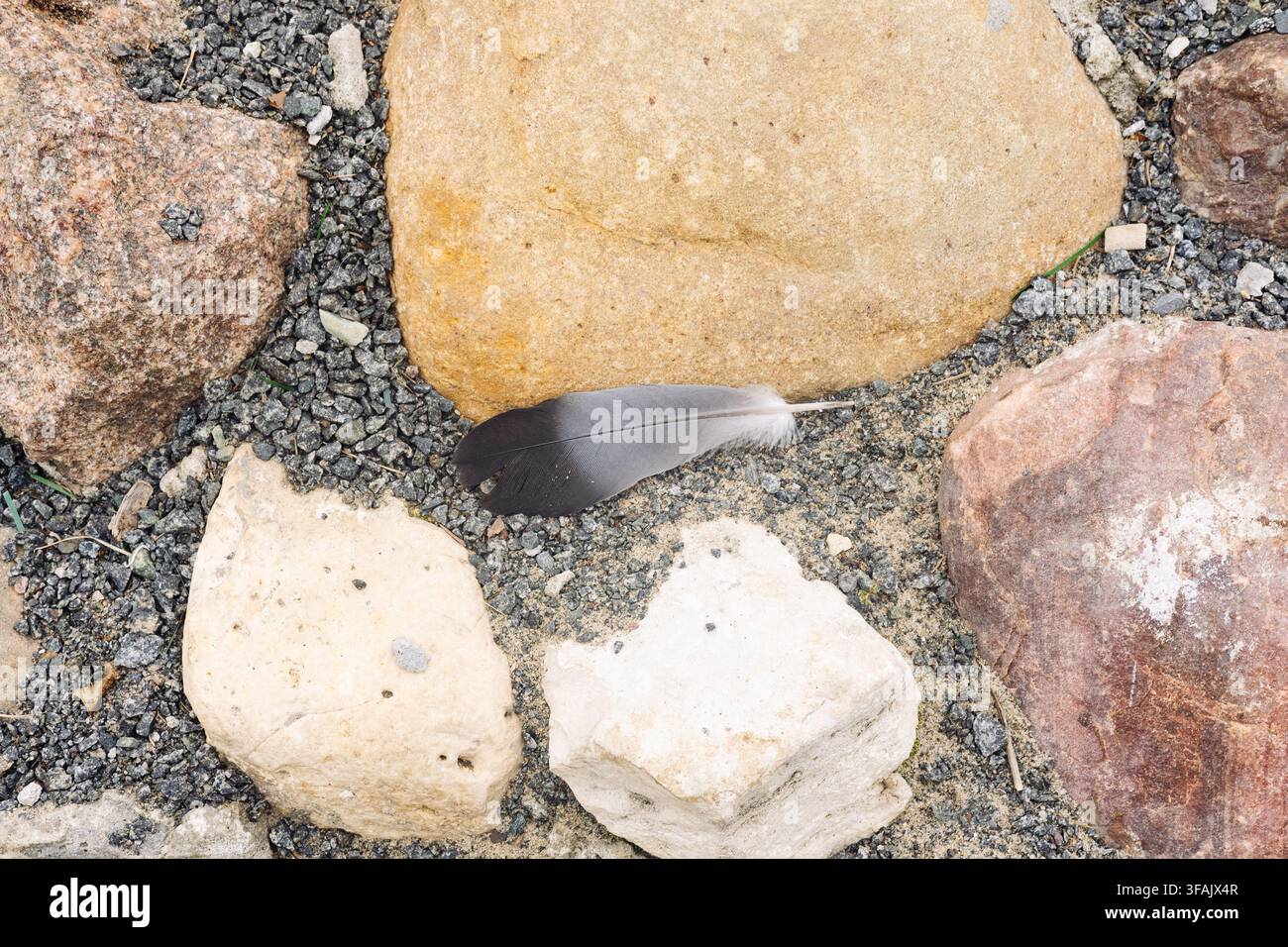 Bird feather on stone pavement background concept. Stock Photo