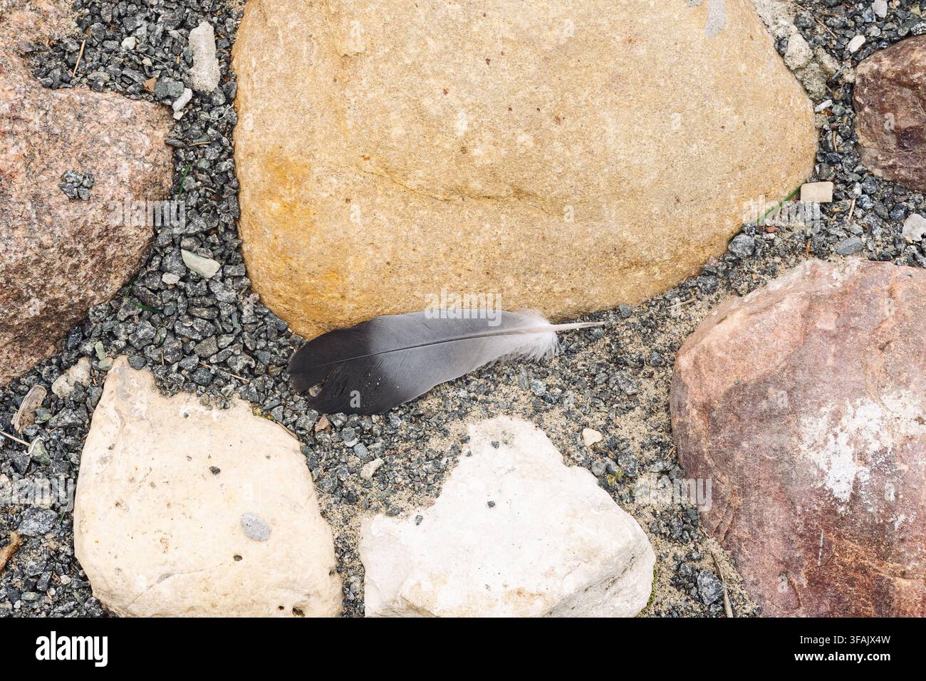 Bird feather on stone pavement background concept. Stock Photo