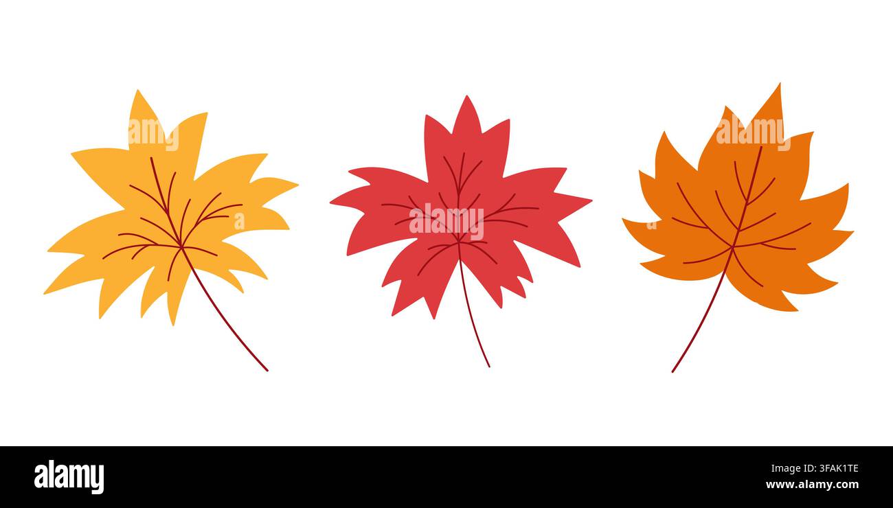 Set of maple leaves in orange, red and yellow colors. Autumn foliage collection vector art for decor, cards, fabric, wrapping Stock Vector