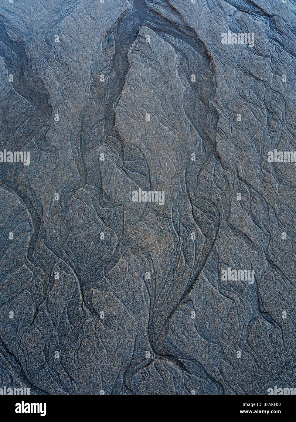 Minimalist sand surface showing organic vein-like patterns formed by water erosion. Soft grey natural texture ideal for abstract backgrounds. Stock Photo