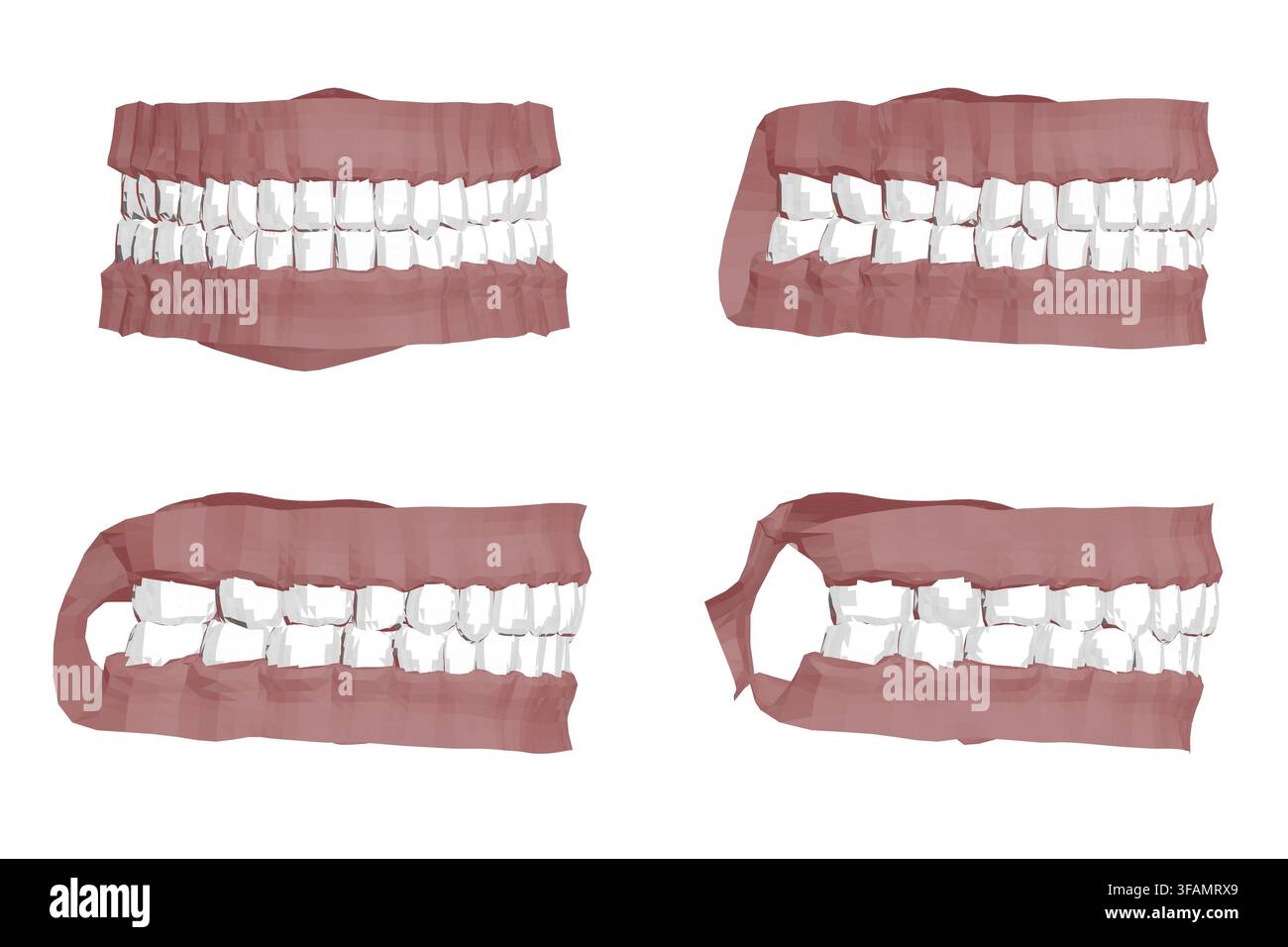 Polygonal human teeth set with four different types, each missing one tooth. Animated 3D render creates a dynamic motion effect. Stock Vector