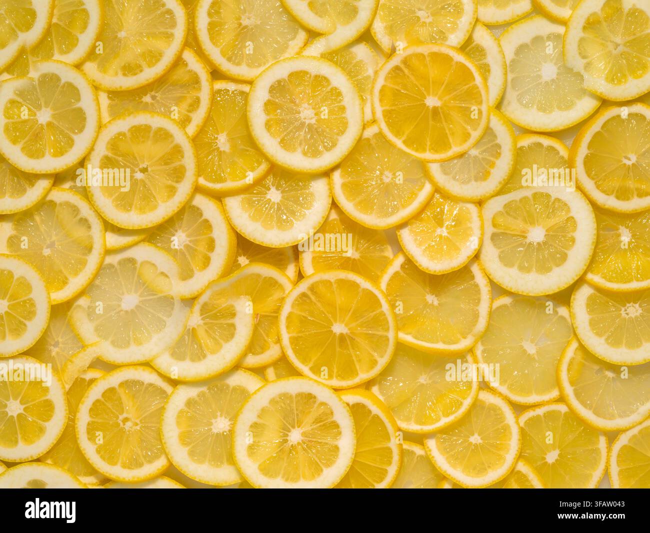 Close-up Top down full frame Flat Lay photograph of Fresh Citrus Lemon Slices Stock Photo