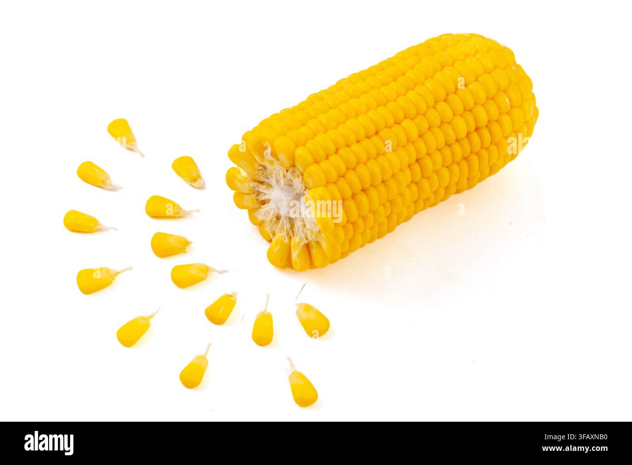Boiled yellow waxy sweet corn cobs stack isolated on white background Stock Photo