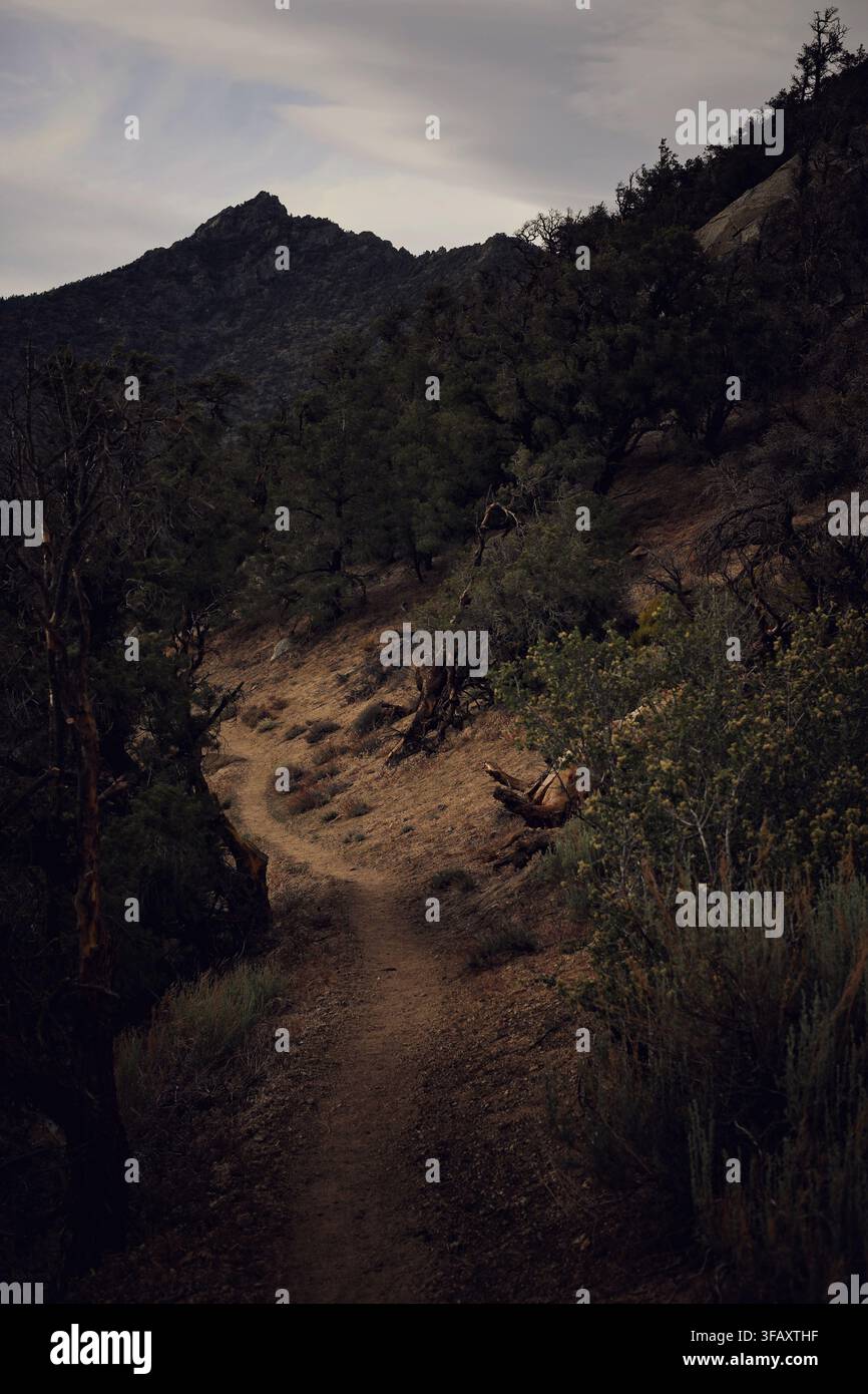 Narrow Winding Trail Descending Through Moody Mountain Slope at Dusk Stock Photo