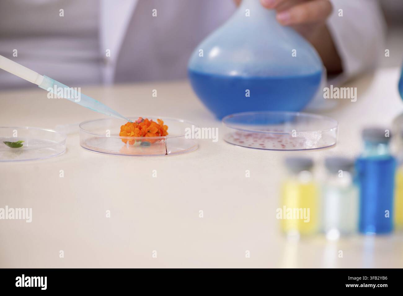 Young chemist working in laboratory Stock Photo