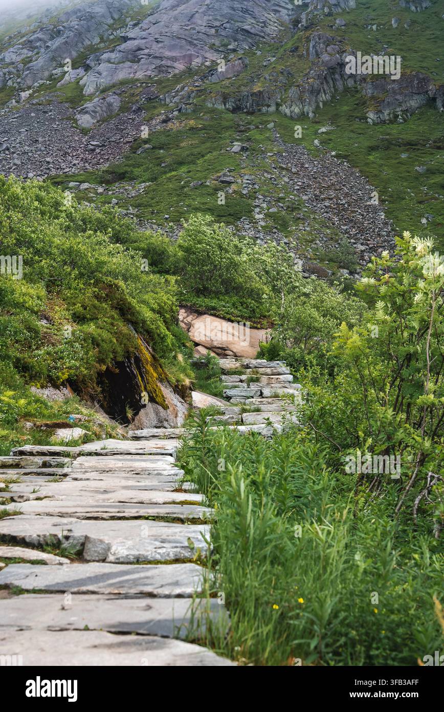 Stone stairs leading up the mountain path on Reinebringen hike in Lofoten, Norway Stock Photo