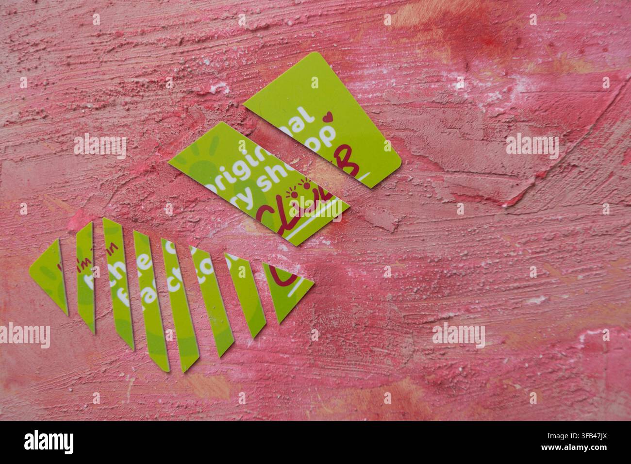 Green plastic loyalty card for the original Factory Shop which went into administration at the start of 2026 so the card is cut into pieces. Stock Photo