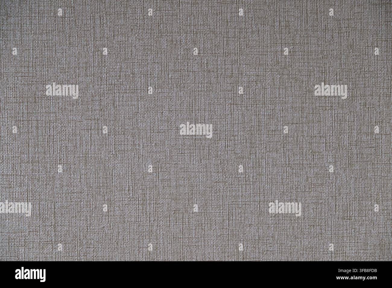 Neutral room wallpaper texture, featuring a fine surface pattern ideal for modern interior design Stock Photo