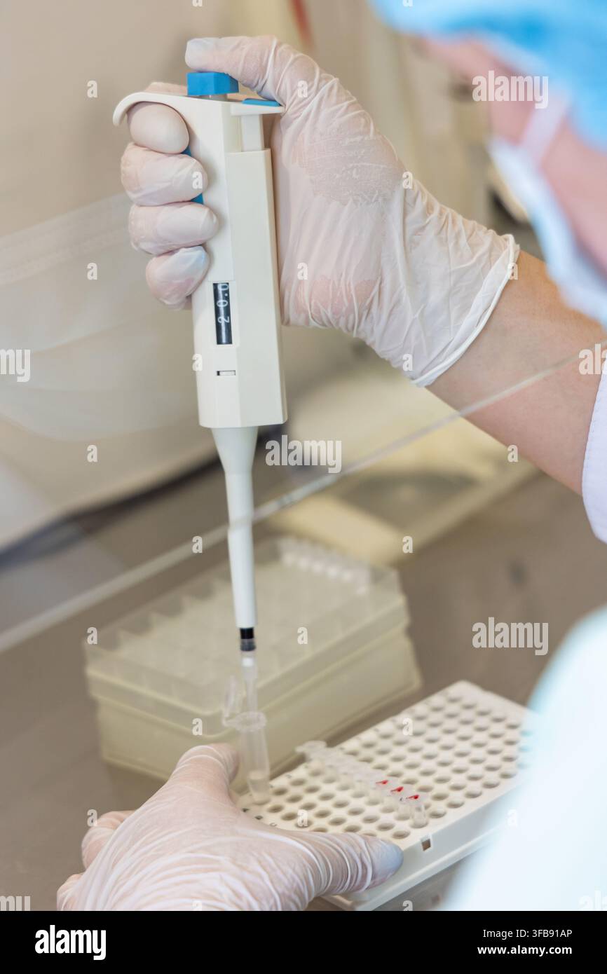 Laboratory Technician Using Micropipette for Sample Preparation Stock Photo