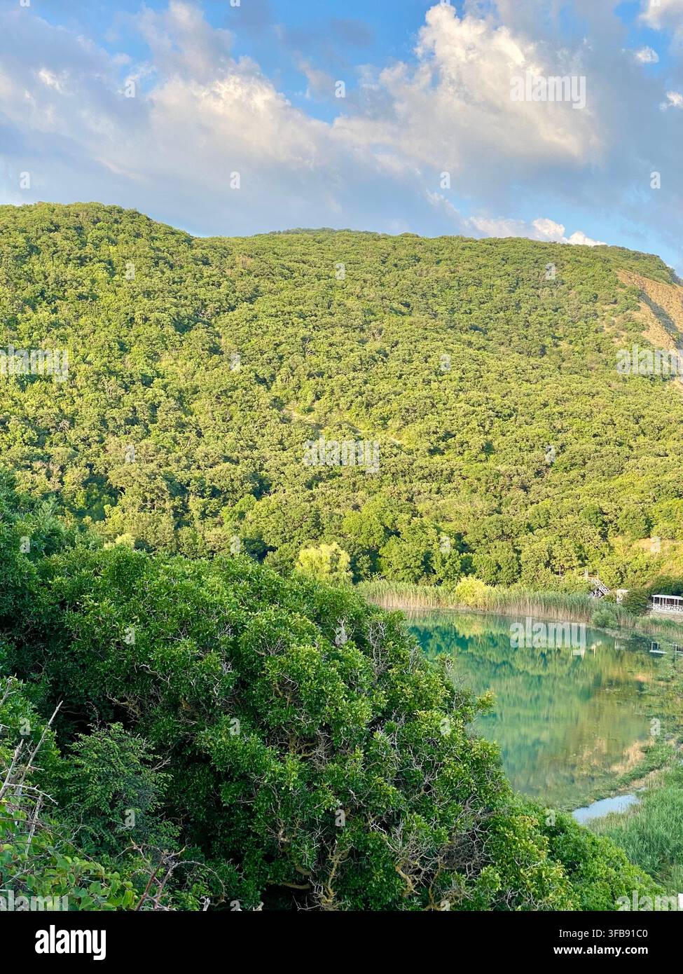 Quiet forest lake reflecting green wooded hills in soft evening light - Smartphone Captured Stock Image