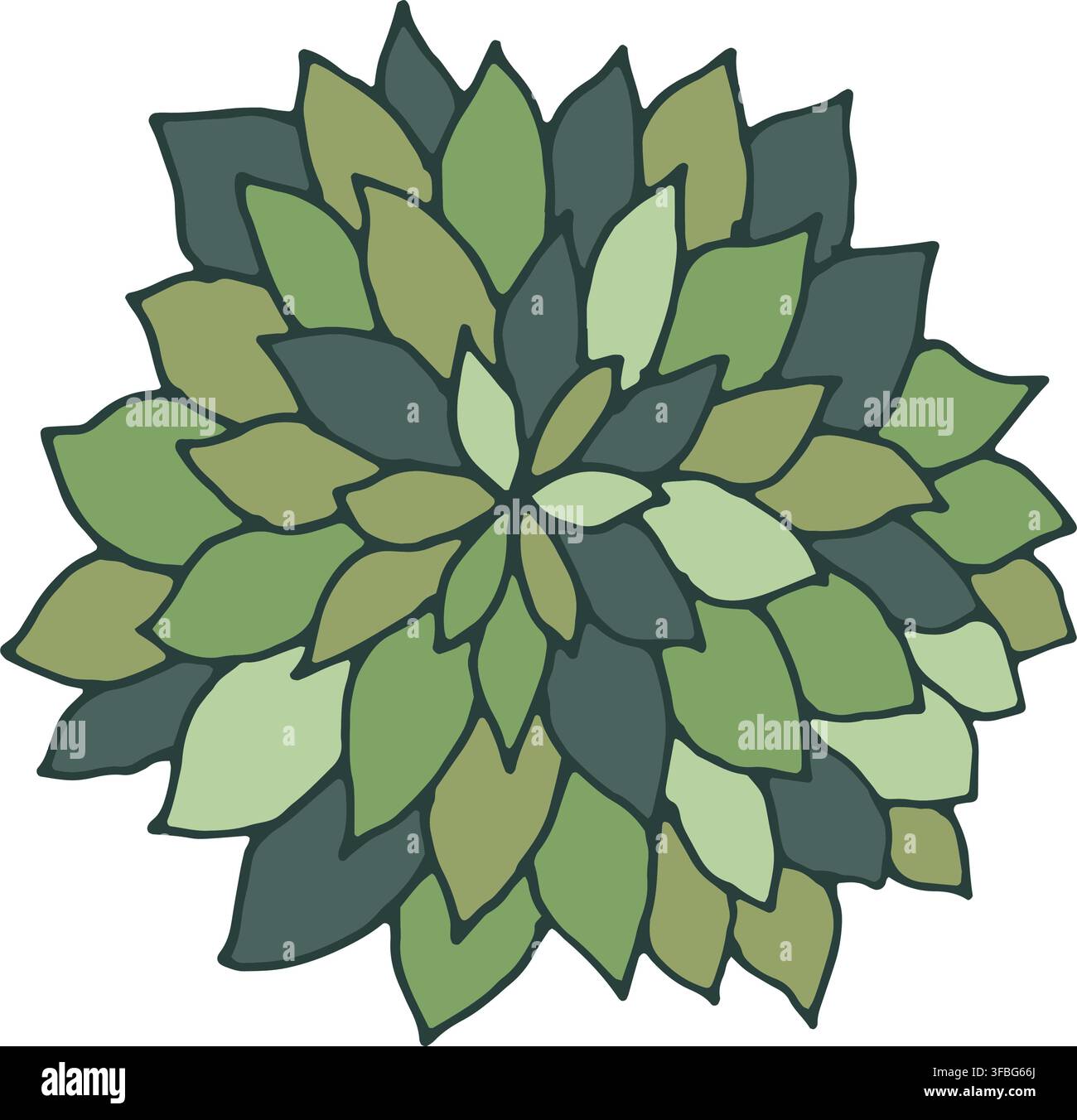 Flat Lay Succulent Desert Plant Rosette Stock Vector