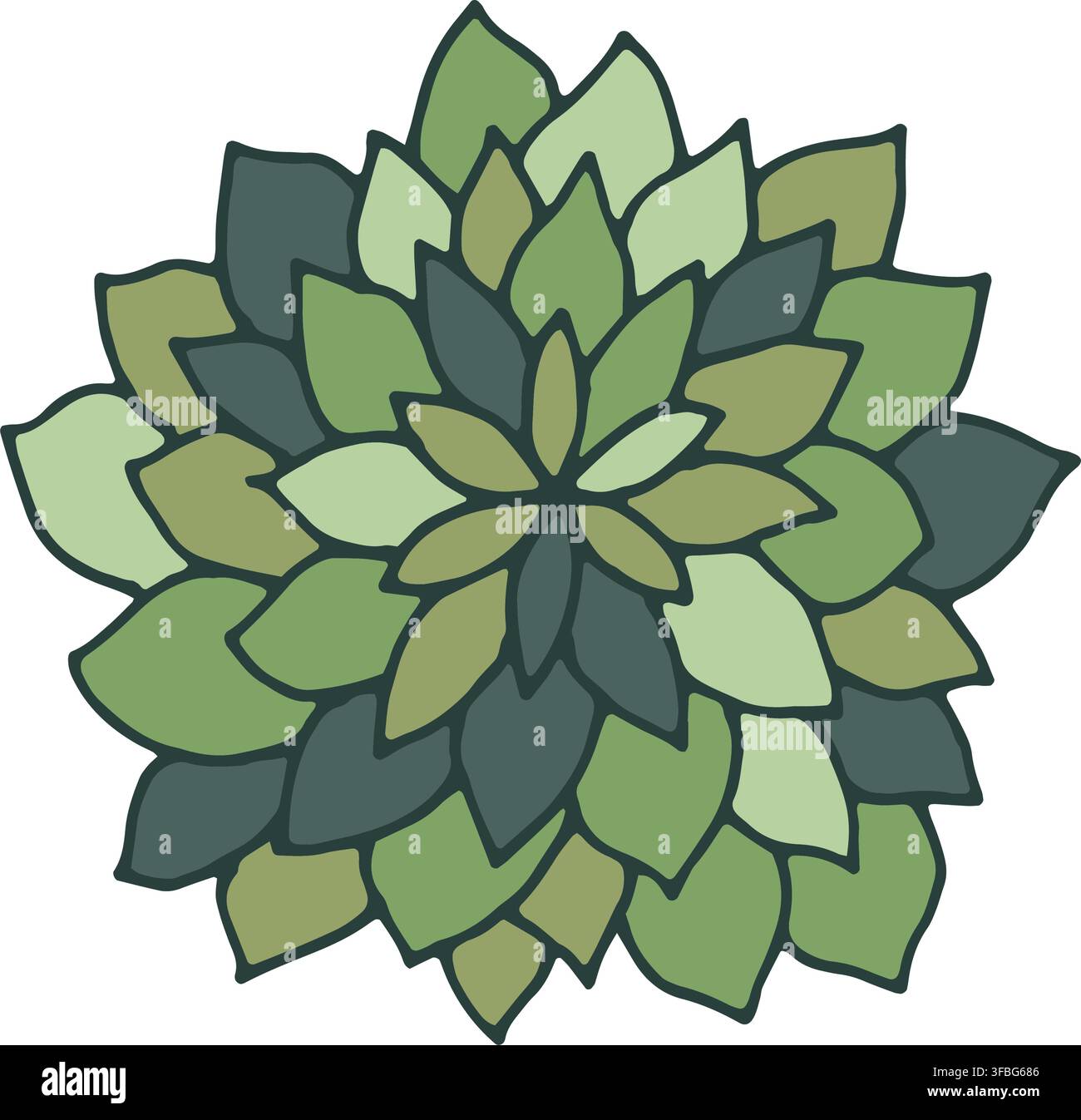Hand Drawn Succulent Botanical Floral Element Stock Vector