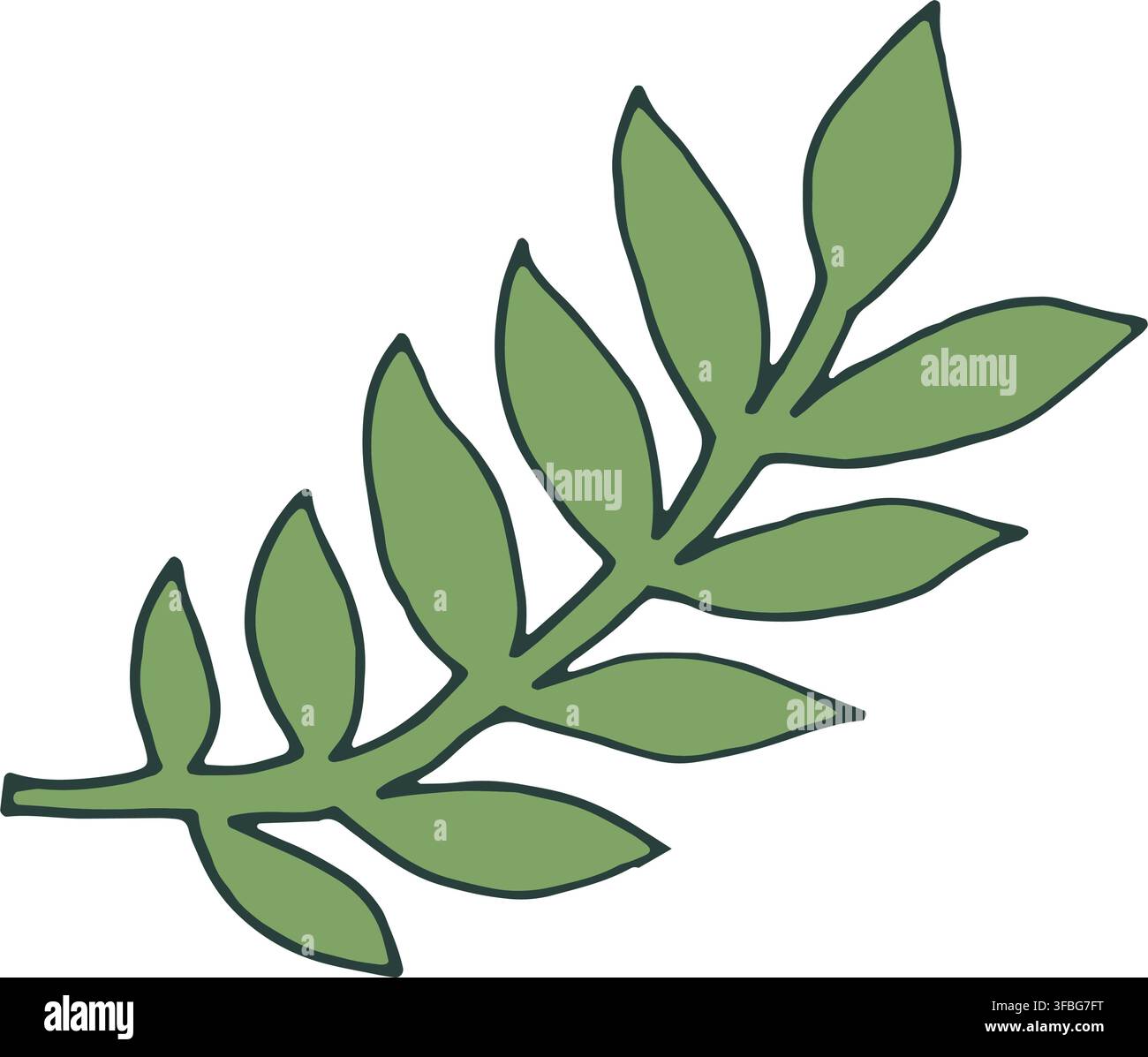 Simple Rustic Green Ash Leaf Branch Stock Vector