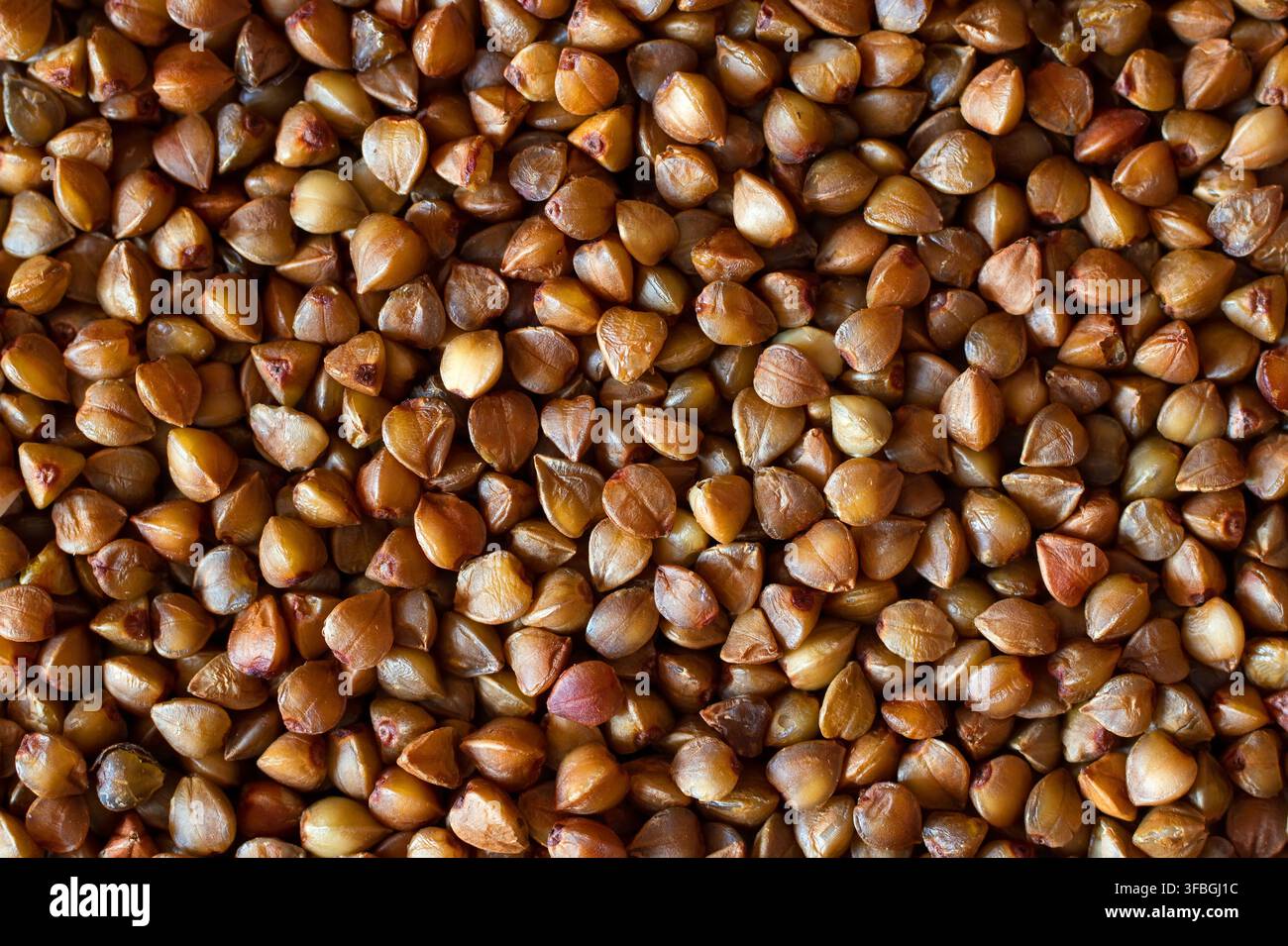 Buckwheat texture. Buckwheat close-up. Raw cereals for cooking. Stock Photo