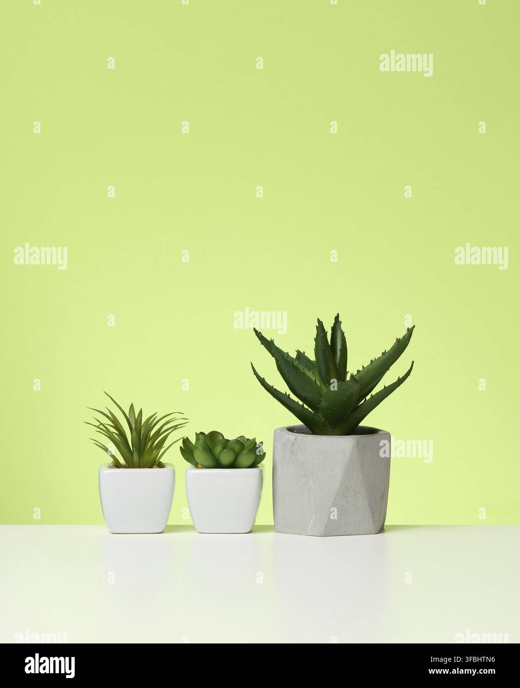 Three ceramic pots with plants on a white table, green background Stock Photo