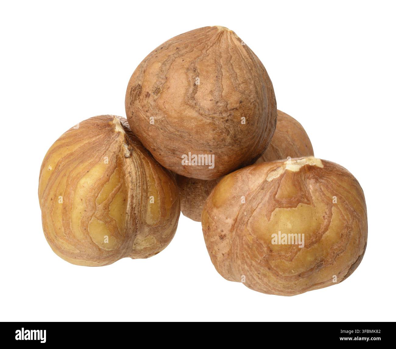 Three hazelnuts on isolated background, close up Stock Photo