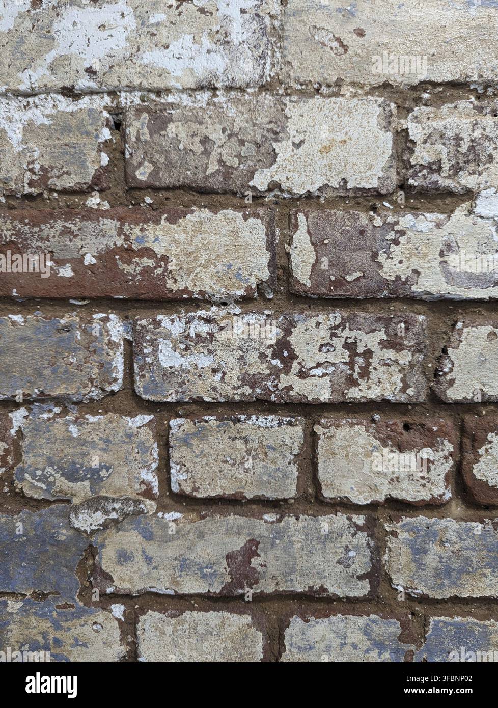 White washed old brick wall Stock Photo