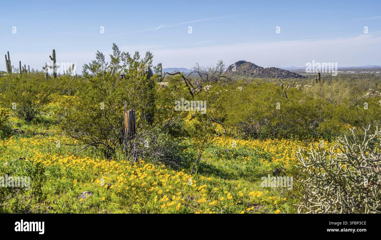 An overlooking view of Picacho Peak SP, Arizona Stock Photo
