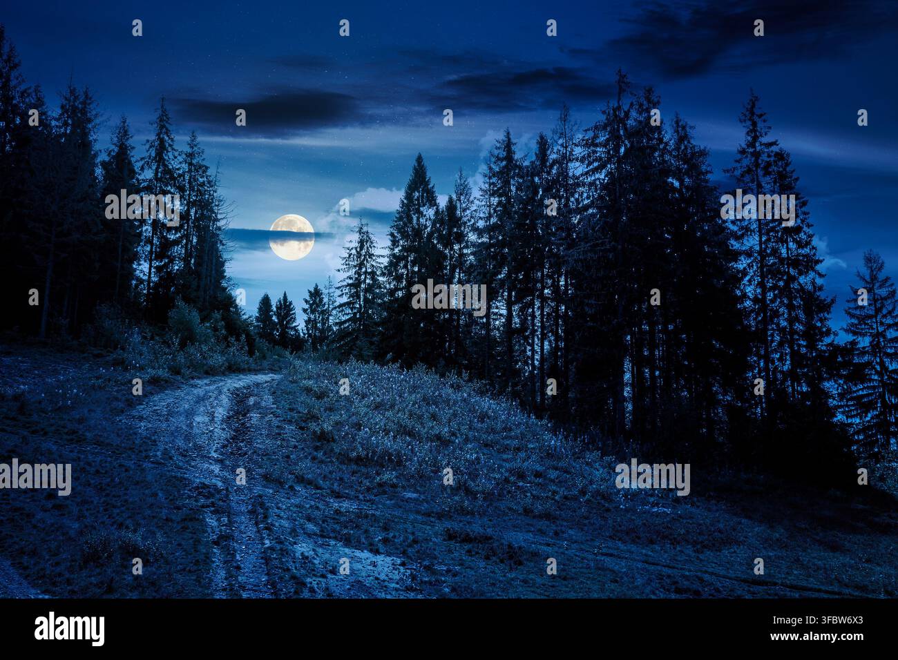 coniferous forest in Ukrainian mountains at night. full moon over Carpathian nature landscape with peaceful woodland in summer. green slopes of Borzha Stock Photo
